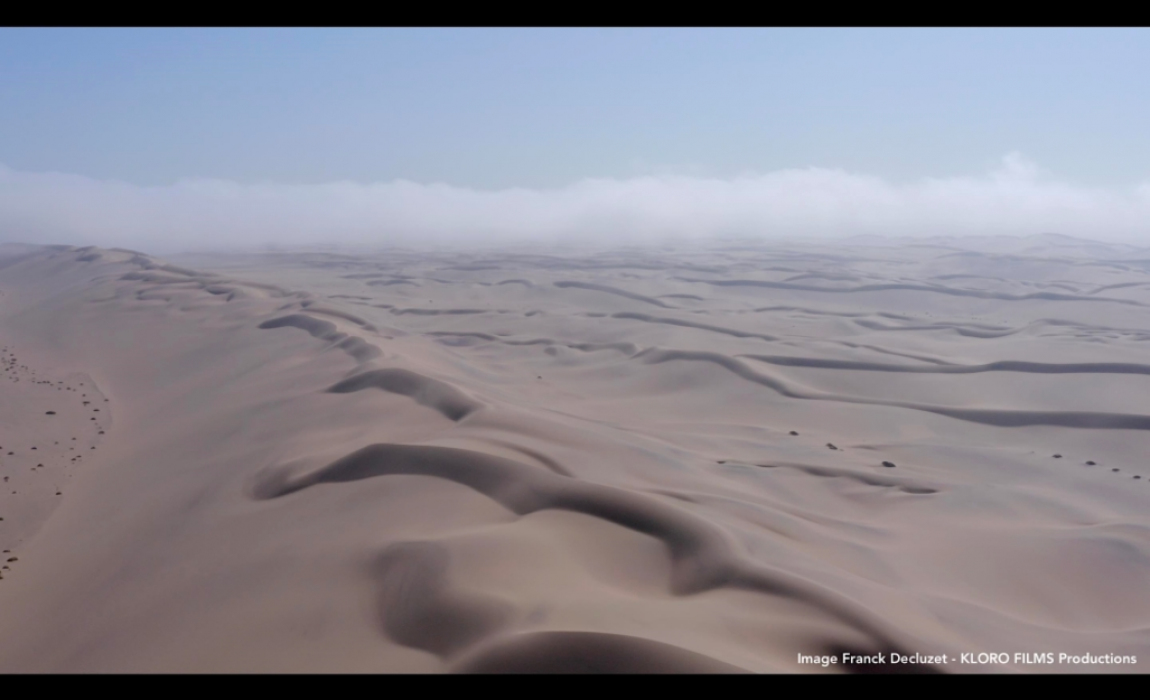 Les dunes du Namib 1 - Franck Decluzet