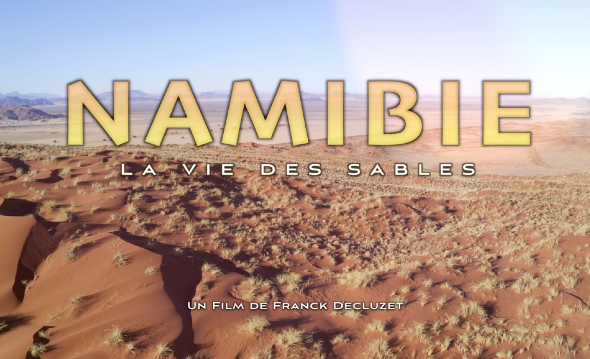 Namibie La Vie des Sables Affiche
