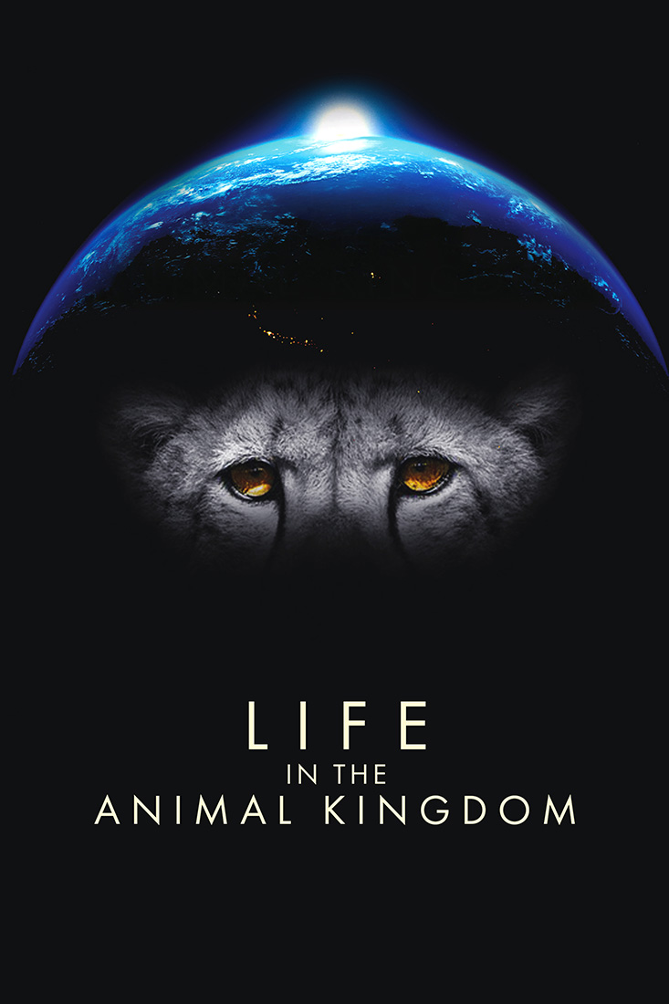 LIFE IN THE ANIMAL KINGDOM