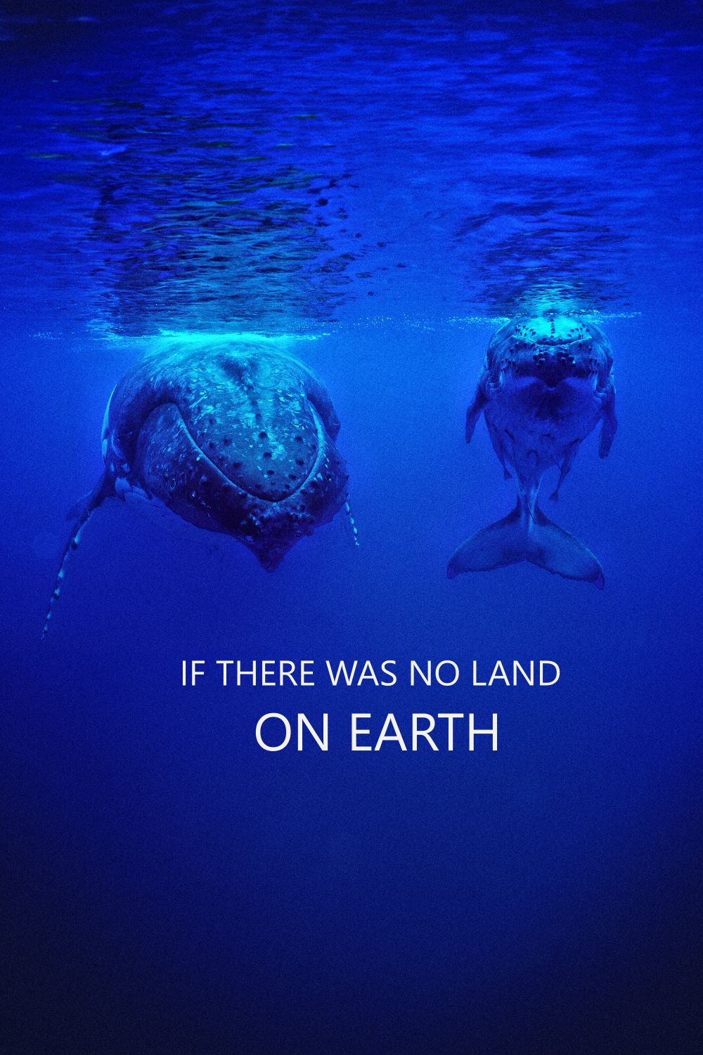 IF THERE WAS NO LAND ON EARTH