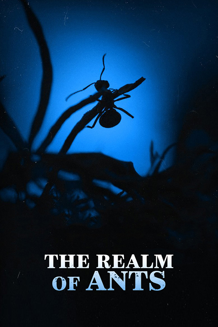 THE REALM OF ANTS