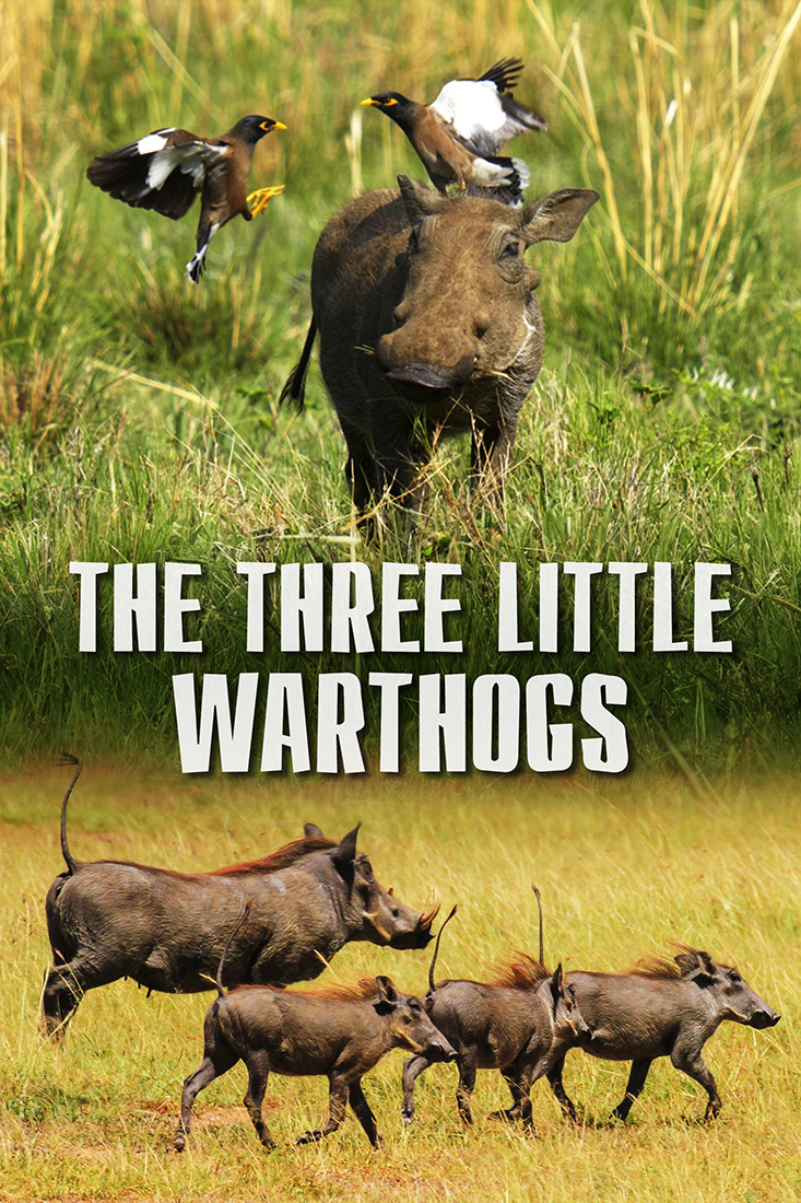 THE THREE LITTLE WARTHOGS