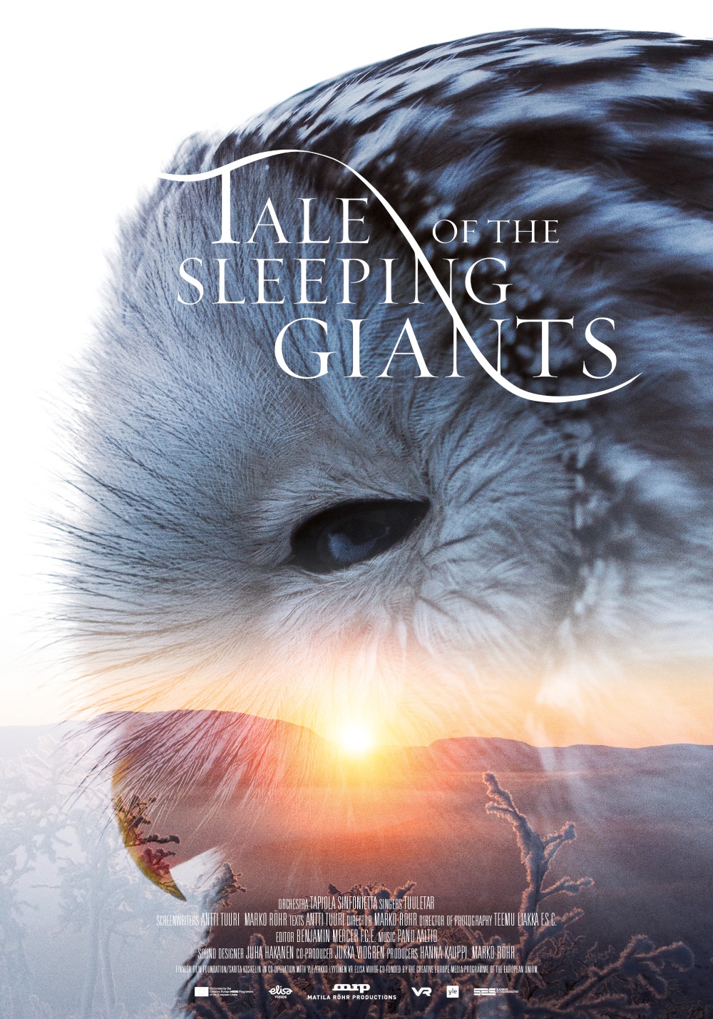 The Tale of Sleeping Giants