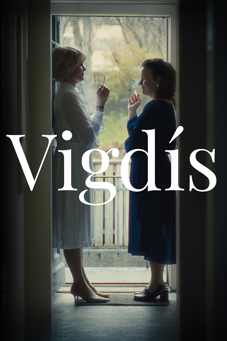 VIGDIS