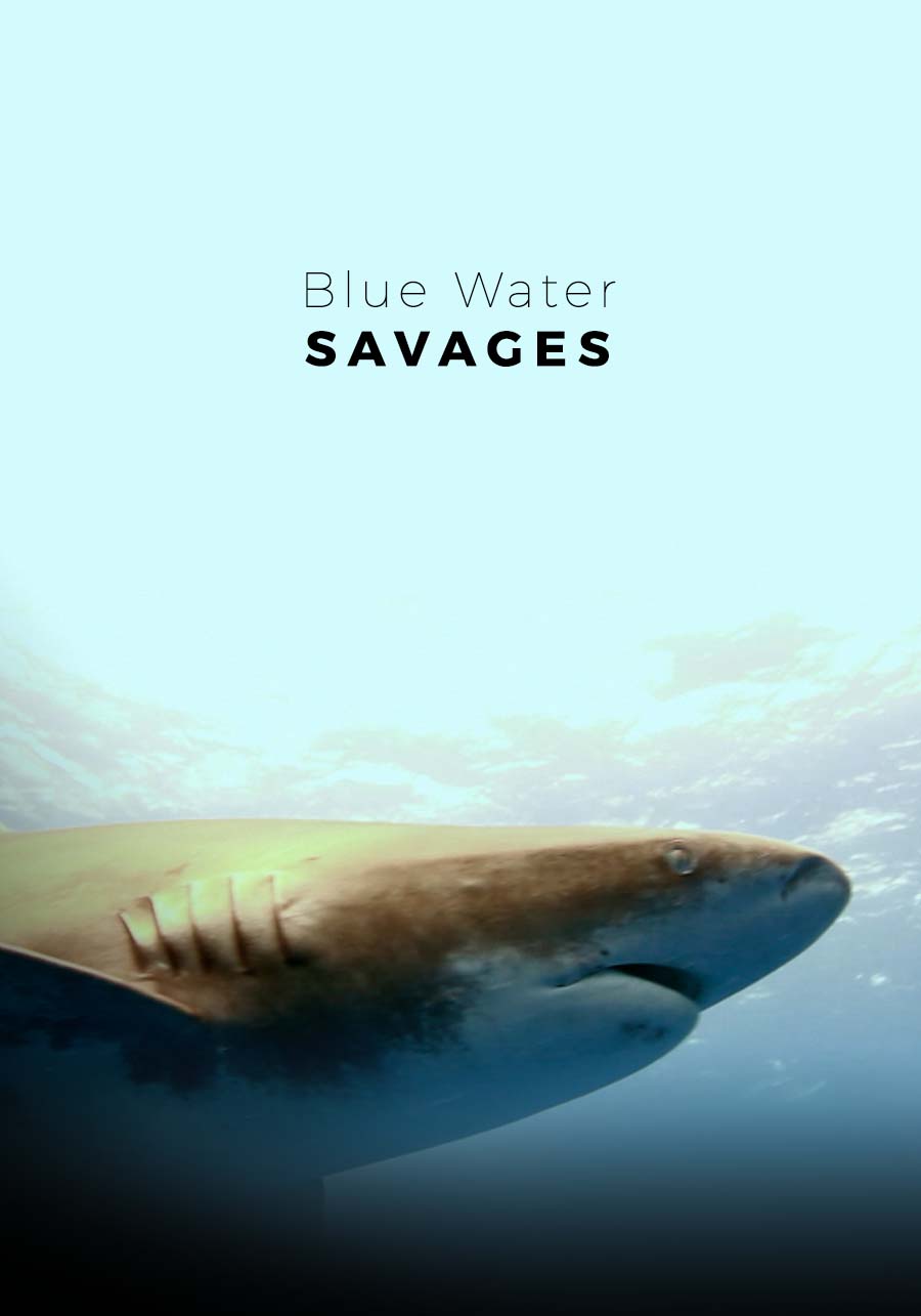 BLUE WATER SAVAGES