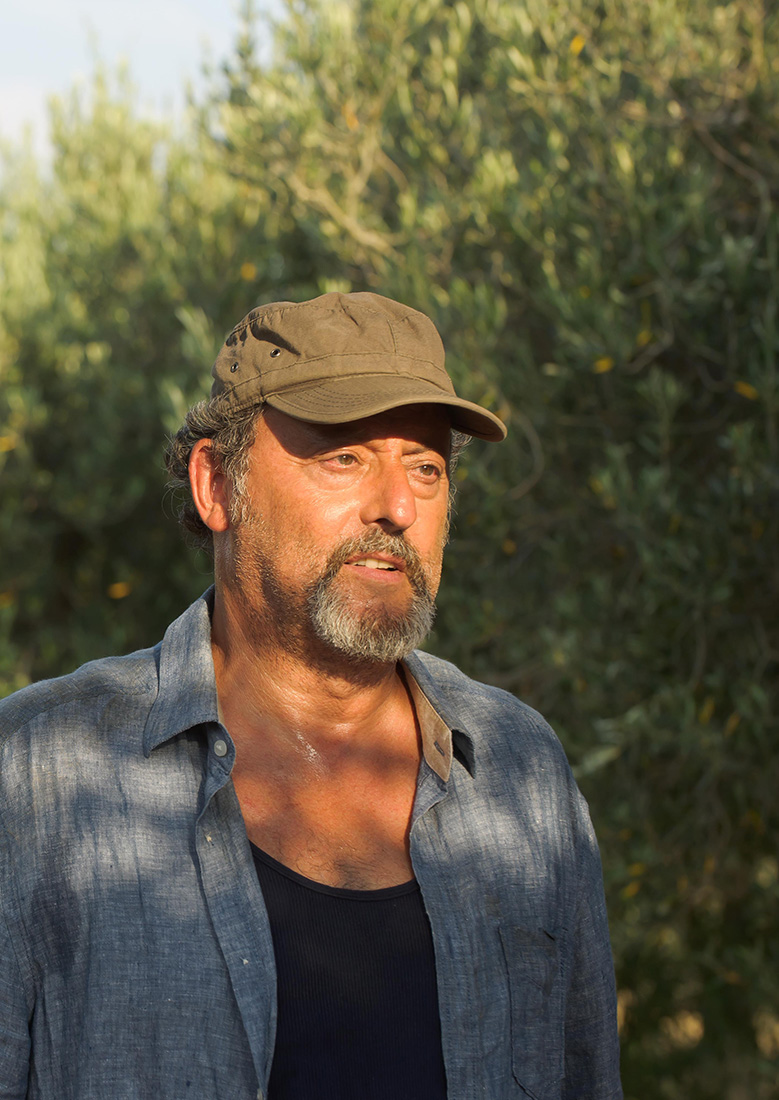 MY SUMMER IN PROVENCE