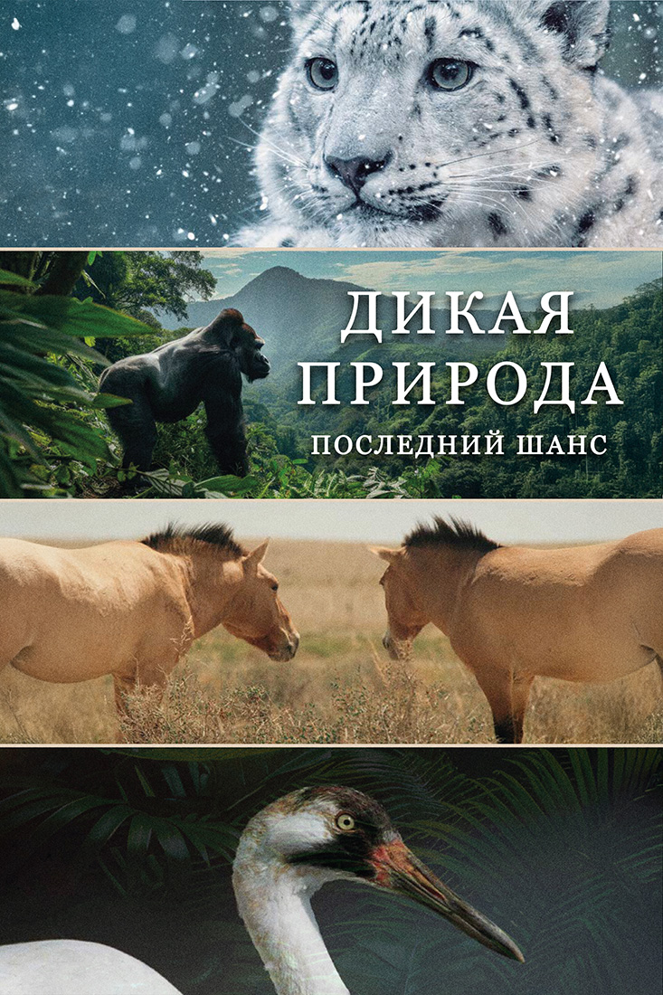ДИКАЯ ПРИРОДА: ПОСЛЕДНИЙ ШАНС