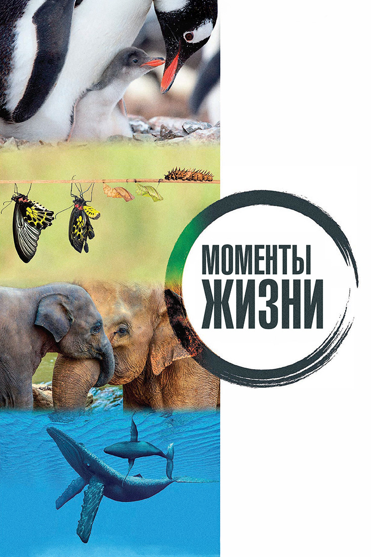МОМЕНТЫ ЖИЗНИ